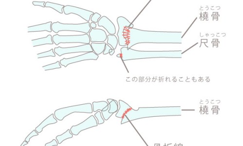 日本最好用的宝宝牙刷-日本婴儿磨牙棒有哪些品牌、日本儿童磨牙饼 -日本婴儿磨牙棒有哪些网