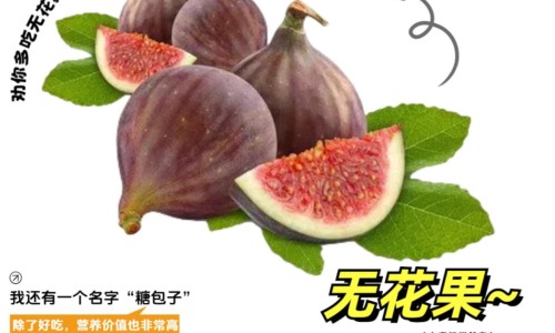 日本最好的儿童牙膏-日本婴儿磨牙棒有哪些品牌、日本儿童磨牙饼 -日本婴儿磨牙棒有哪些网