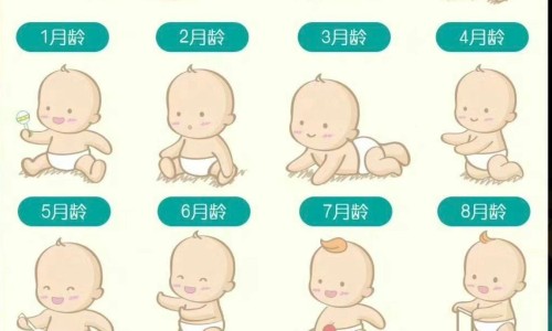 日本儿童磨牙饼-日本婴儿磨牙棒有哪些品牌、日本儿童磨牙饼 -日本婴儿磨牙棒有哪些网